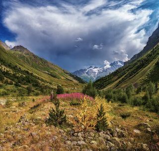 В ущелье Терскол