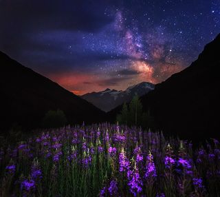 В ущелье Терскол