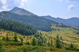 Полонына Лисичья, вид на юго-восток, справа вершина Поп Иван Мармаросский, за хребтом Румыния
