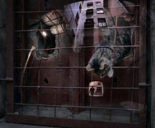 Санкт-Петербург, дворы, мультиэкспозиция