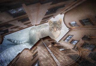 Санкт-Петербург, дворы, мультиэкспозиция