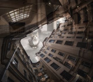 Санкт-Петербург, дворы, мультиэкспозиция