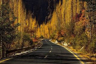 Way of Nagar