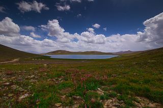 Deosai National Park Pakistan