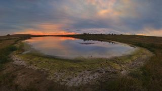 Блюдце полное заката