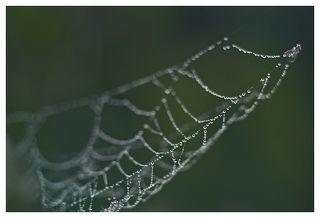 2. путь наверх