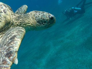 Взгляд на людей