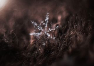 Зимнее послание...