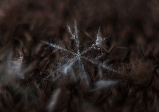 Тонкая работа зимы.