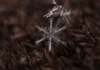 Мягкие узоры холодной кисти.