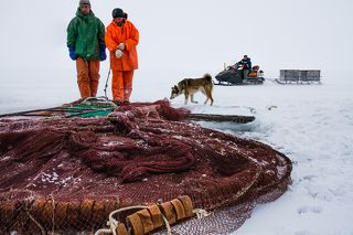 Установка Вентеря