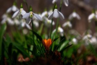 Треугольник