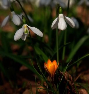 Здравствуй, племя молодое, незнакомое