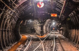 Чрево диплодока