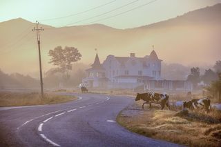 Утренняя пастораль