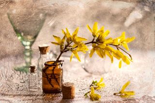 Секрет весны