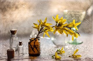 Капля весны