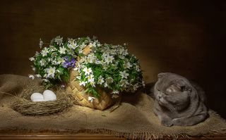 Мы снимали натюрморт:)