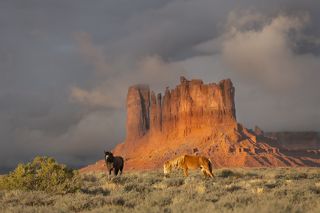 Monument Valley