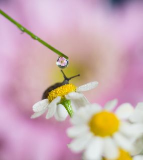 Интересно, что там?