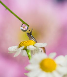 Надо посмотреть!!!