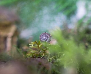 Где же мне ночевать?