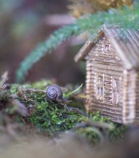 Может этот домик мне подойдет??? Нет...