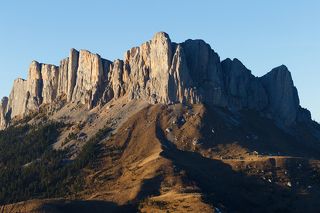 Тхач вечерний