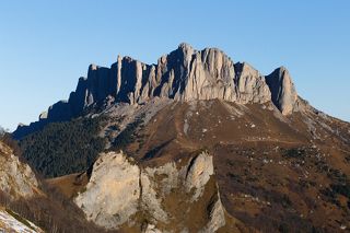 Тхач утренний