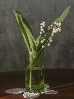 Панорама из 4-х вертикальных кадров,снято на Гелиос-44-2