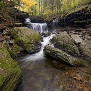 Ricketts Glen State Park 1,  Pennsylvania