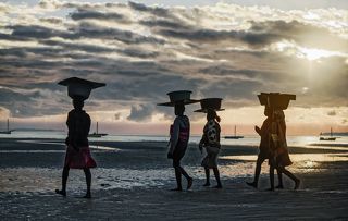 the women of vilanculos after buying seafood carrying it in baskets on their heads, going to the local market to resale. one more day in the search of food and some income for their families.