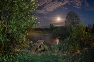 волшебный прудик