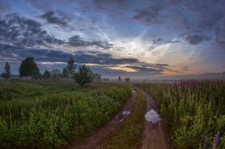 немножко серебристых облаков и луж