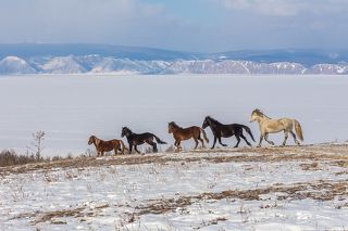 Тажеранские степи. Ольхон, Байкал.