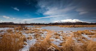 Зимняя стужа