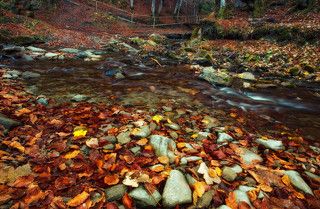 Горный ручей в ноябре. Фотографию назвал \