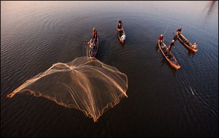 Ловись, рыбка