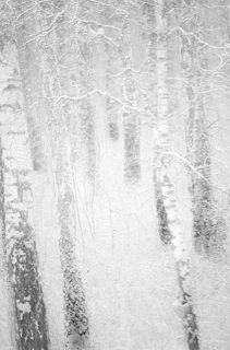 Белый белый день/bright bright day