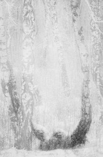 Белый белый день/bright bright day