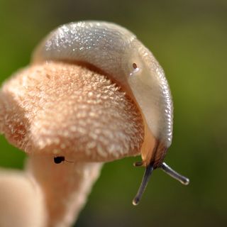 Есть кто дома?