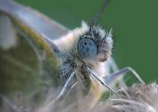 как же без профиля..)