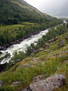 Бурная река