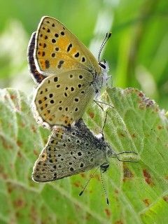 а что там, за порогом?