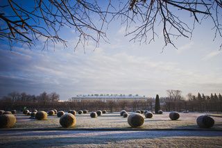 Петергоф в январе