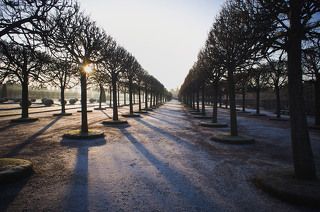 Петергоф в январе