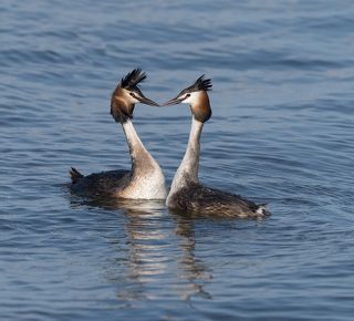 Когда простым и нежным взором...
