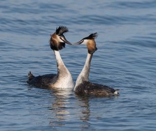 ..ласкаешь ты меня мой друг