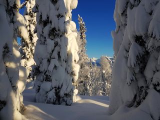 Снежные богатыри.