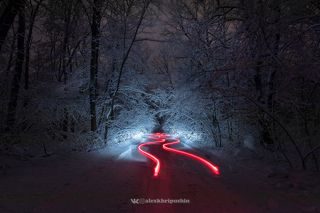 Snow, trees and trails